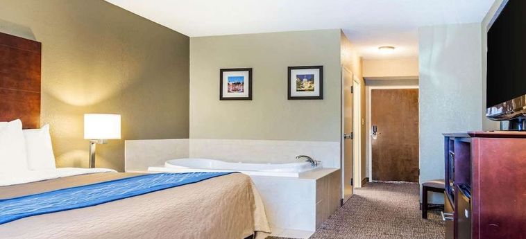 Hotel Comfort Inn Atlanta Downtown South Atlanta (Ga) : Photo 