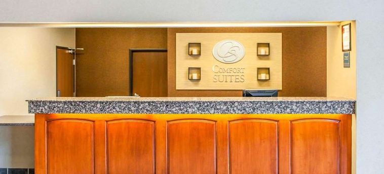 Hotel Comfort Suites Auburn:  AUBURN (IN)
