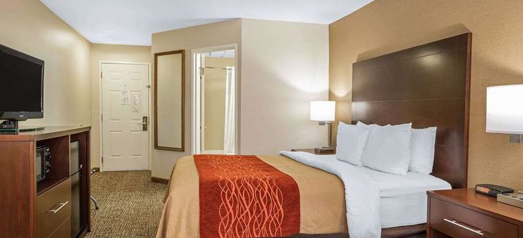 Hotel Comfort Inn Auburn - Worcester Auburn (Ma) : Photo 