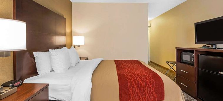 Hotel Comfort Inn Auburn - Worcester Auburn (Ma) : Photo 