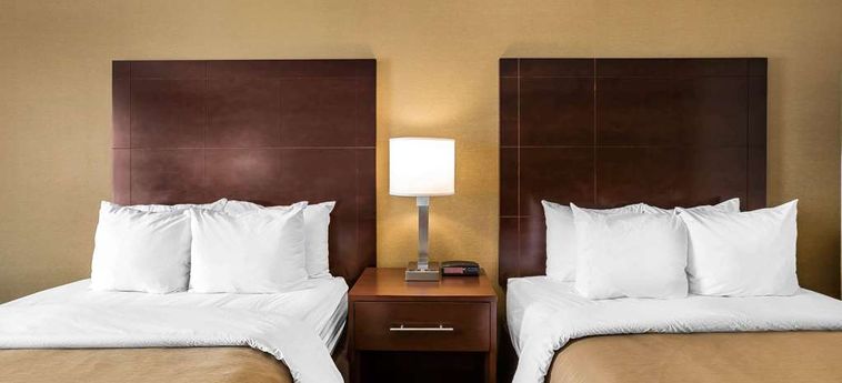 Hotel Comfort Inn Auburn - Worcester Auburn (Ma) : Photo 