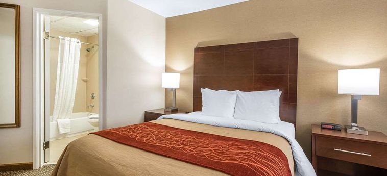 Hotel Comfort Inn Auburn - Worcester Auburn (Ma) : Photo 