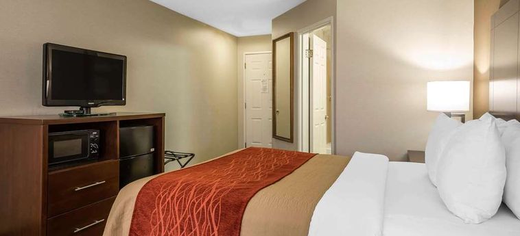 Hotel Comfort Inn Auburn - Worcester Auburn (Ma): Foto 