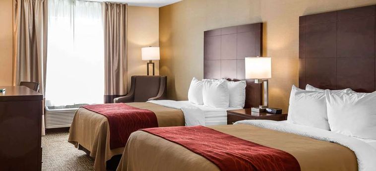 Hotel Comfort Inn Auburn - Worcester Auburn (Ma): Foto 