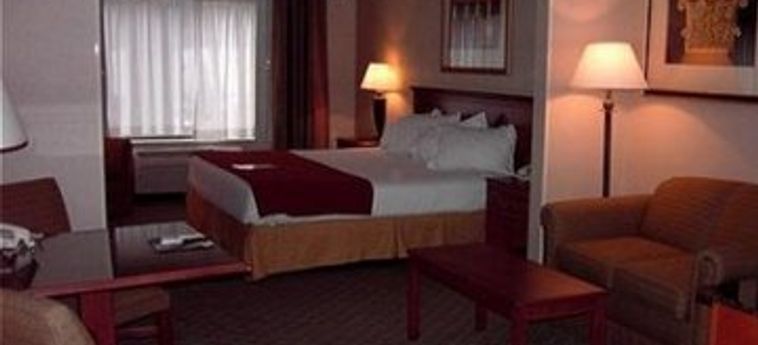 Holiday Inn Express Hotel &Amp; Suites Auburn By Ihg Auburn (Ma): Foto 