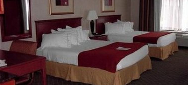 Hotel Holiday Inn Express Auburn:  AUBURN (MA)