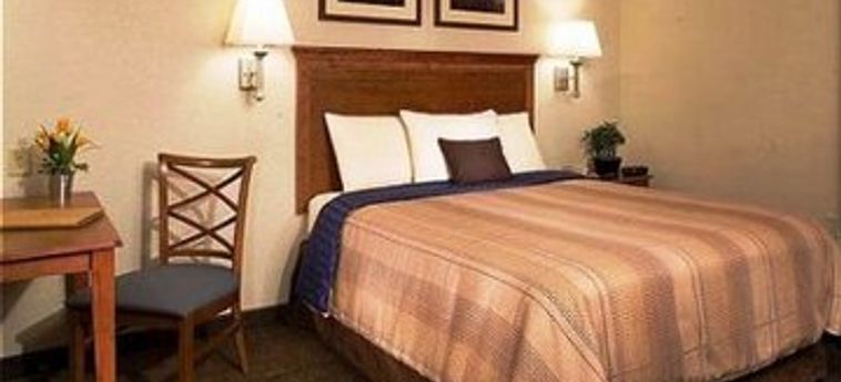 Hotel Candlewood Suites Augusta:  AUGUSTA (GA)