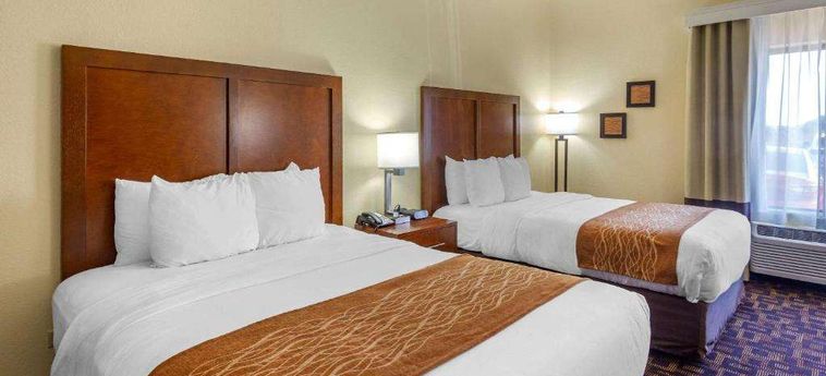 Hotel Comfort Inn &Amp; Suites North Aurora - Naperville Aurora (Il) : Photo 