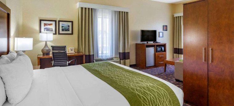 Hotel Comfort Inn &Amp; Suites North Aurora - Naperville Aurora (Il) : Photo 