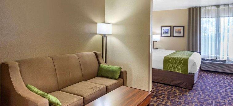 Hotel Comfort Inn &Amp; Suites North Aurora - Naperville Aurora (Il) : Photo 
