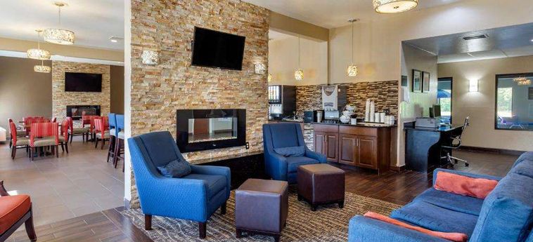 Hotel Comfort Inn &Amp; Suites North Aurora - Naperville Aurora (Il): Photo 