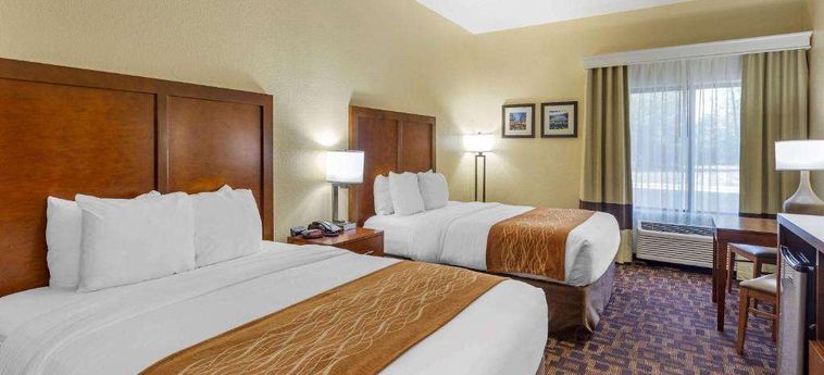 Hotel Comfort Inn &Amp; Suites North Aurora - Naperville Aurora (Il): Photo 