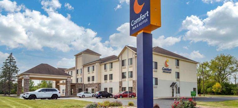 Hotel Comfort Inn &Amp; Suites North Aurora - Naperville Aurora (Il): Photo 