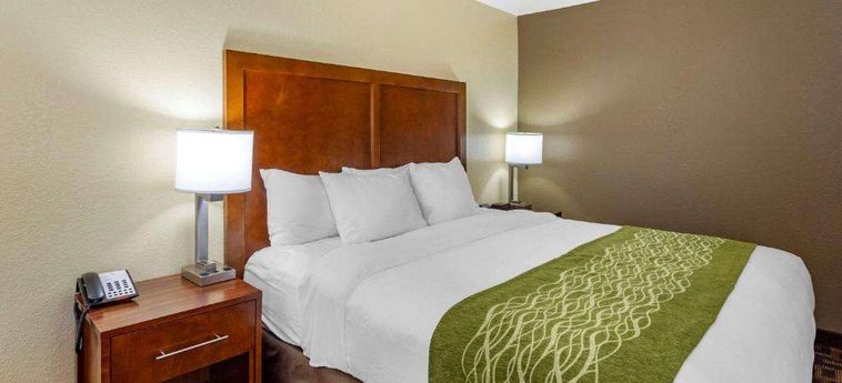 Hotel Comfort Inn &Amp; Suites North Aurora - Naperville Aurora (Il): Photo 