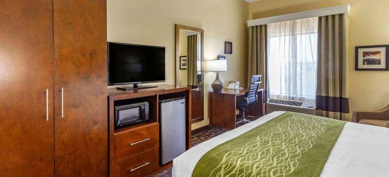 Hotel Comfort Inn &Amp; Suites North Aurora - Naperville Aurora (Il): Photo 