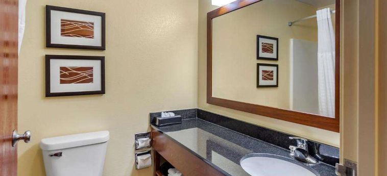 Hotel Comfort Inn &Amp; Suites North Aurora - Naperville Aurora (Il): Photo 