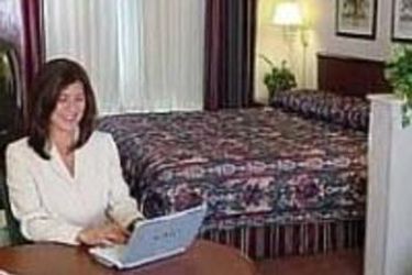 Hotel Holiday Inn Express & Suites Aurora - Naperville:  AURORA (IL)