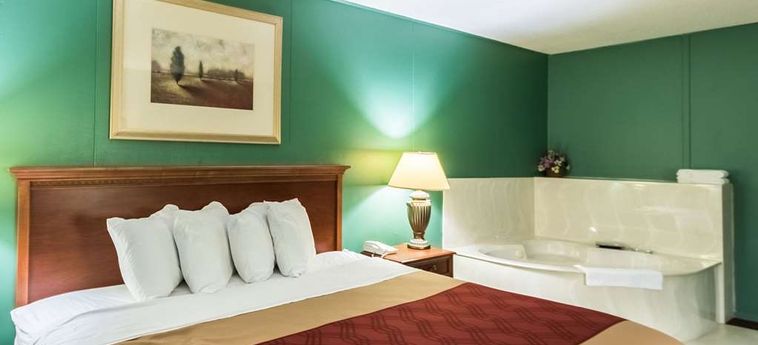 Hotel Econo Lodge Austin:  AUSTIN (MN)