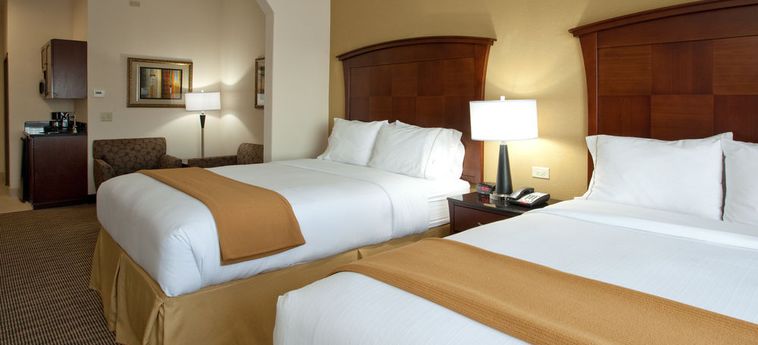 Hotel Holiday Inn Express & Suites South-Buda:  AUSTIN (TX)