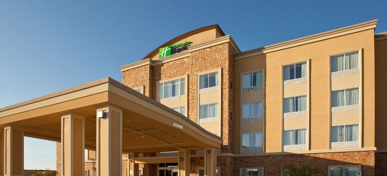 Hotel HOLIDAY INN EXPRESS & SUITES SOUTH-BUDA