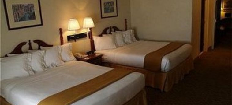 Hotel Holiday Inn Express North Pflugerville:  AUSTIN (TX)