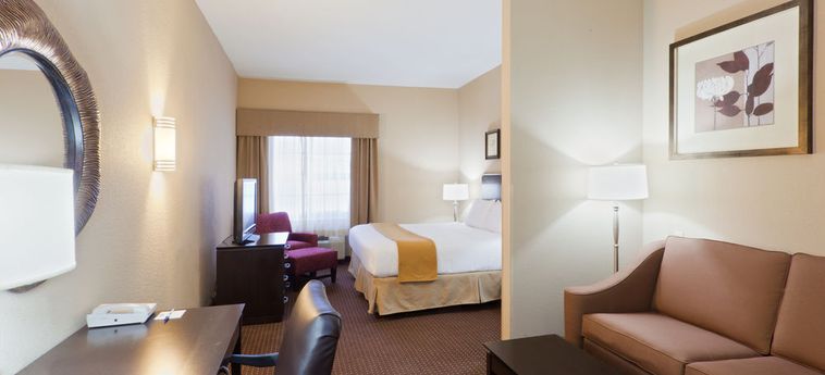 Hotel Holiday Inn Express Ashtabula Geneva:  AUSTINBURG (OH)