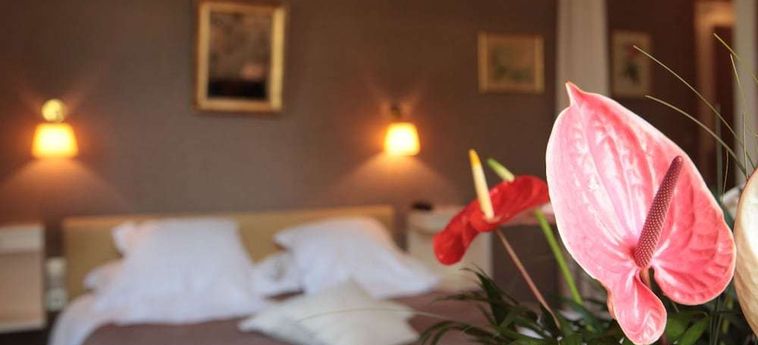 Hotel Auberge De Noves Avignon: Foto 