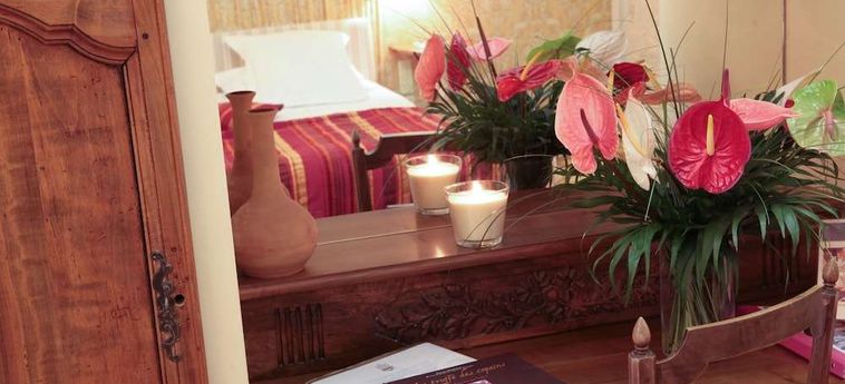 Hotel Auberge De Noves Avignon: Foto 
