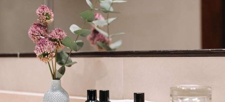 Hotel Palacio De Aviles Affiliated By Melia Aviles : Photo 