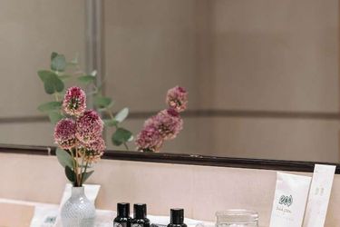 Hotel Palacio De Aviles Affiliated By Melia Aviles: Photo 