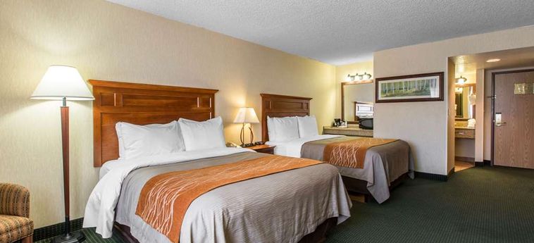 Hotel Comfort Inn Vail/beaver Creek:  AVON (CO)