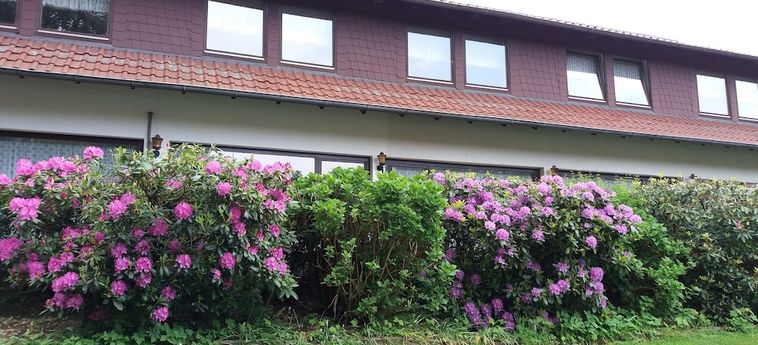 Hotel Forsthaus Alter Foerster Bad Oeynhausen: Foto 