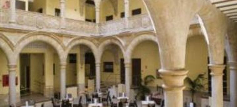 Hotel Palacio De Los Salcedo Baeza: Foto 