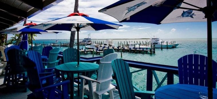 Hotel Bimini Big Game Club Resort & Marina:  BAHAMAS