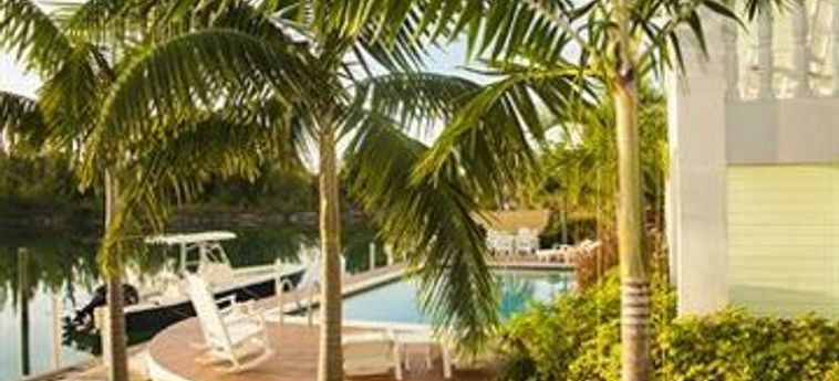 Hotel Dolphin Cove:  BAHAMAS