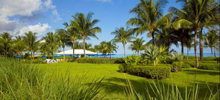 Hotel Bahama Beach Club:  BAHAMAS