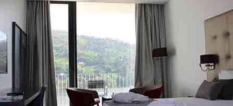 Douro Royal Valley Hotel & Spa:  BAIAO