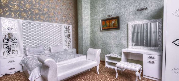 Hotel Admiral Baku : Photo 