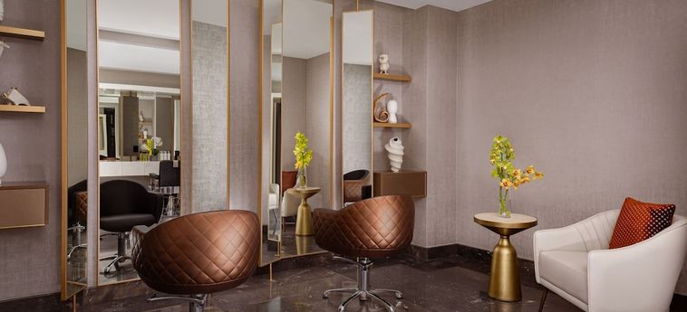 Hotel The Ritz-Carlton Баку Baku: Foto 