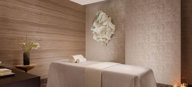 Hotel The Ritz-Carlton Баку Baku: Foto 