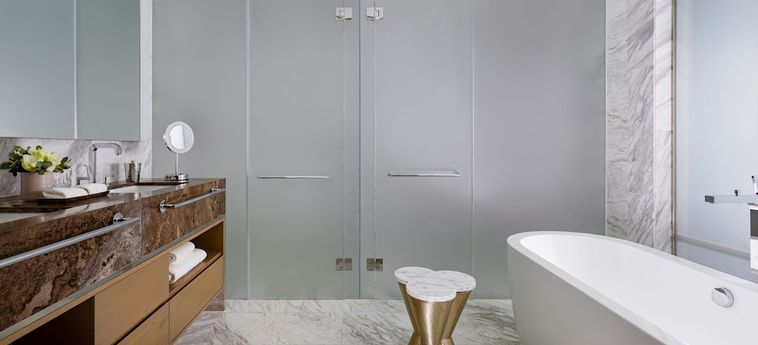 Hotel The Ritz-Carlton Баку Baku : Photo 