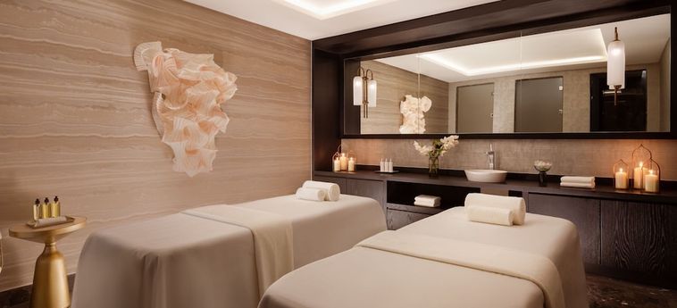 Hotel The Ritz-Carlton Баку Baku: Foto 