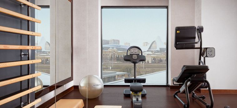 Hotel The Ritz-Carlton Баку Baku: Foto 