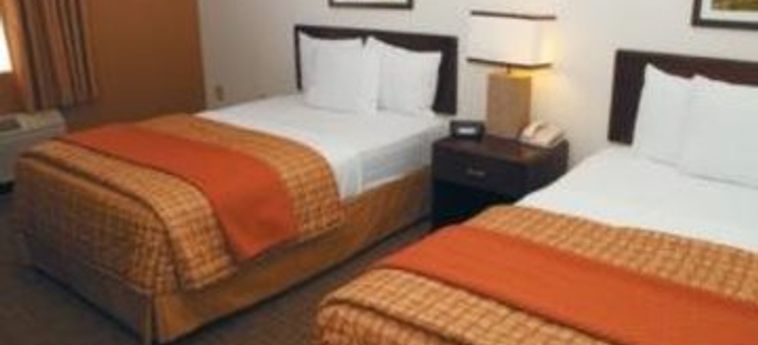 Hotel La Quinta Inn & Suites Baltimore Bwi Airport 2045:  BALTIMORE (MD)