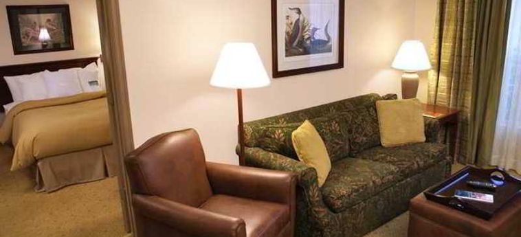 Hotel Homewood Suites By Hilton Baltimore-Washington Intl Apt:  BALTIMORE (MD)