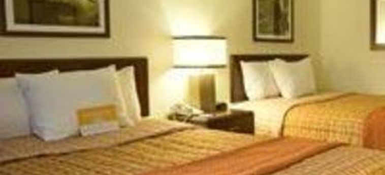 Hotel La Quinta Inn & Suites Baltimore Bwi Airport:  BALTIMORE (MD)