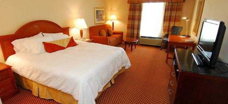 Hotel Hilton Garden Inn Baltimore/white Marsh:  BALTIMORE (MD)