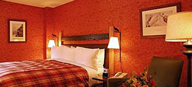 Fox Hotel & Suites:  BANFF