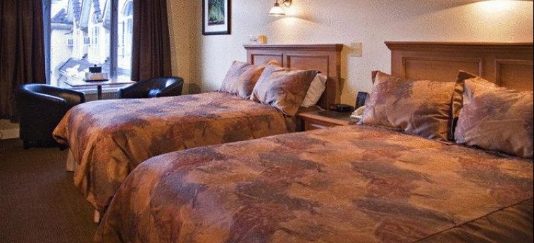 Hotel Irwin's Mountain Inn:  BANFF