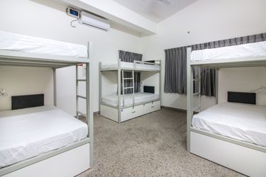 Hotel Backpacker Panda Bengaluru Bangalore: Photo 